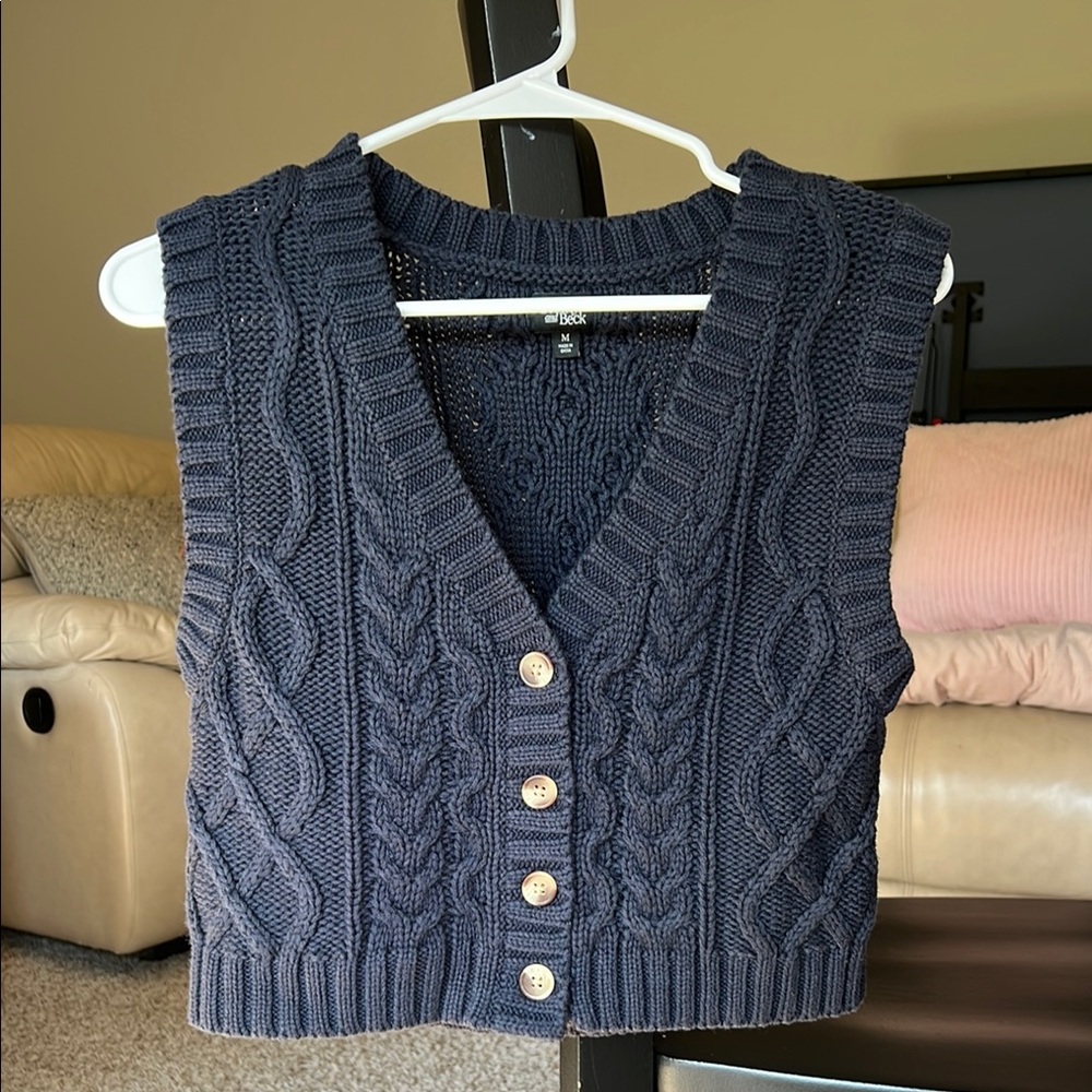 Pacsun Navy Blue V-Neck Cable Knit Sweater